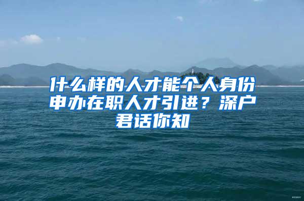 什么样的人才能个人身份申办在职人才引进？深户君话你知
