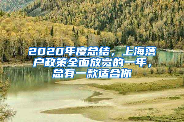 2020年度总结，上海落户政策全面放宽的一年，总有一款适合你