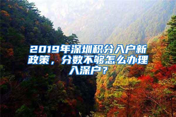 2019年深圳积分入户新政策，分数不够怎么办理入深户？
