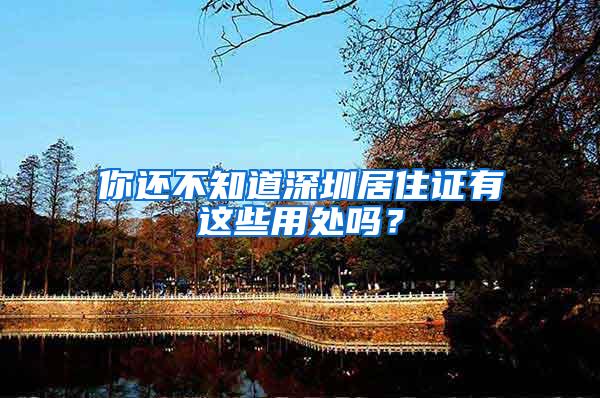你还不知道深圳居住证有这些用处吗？
