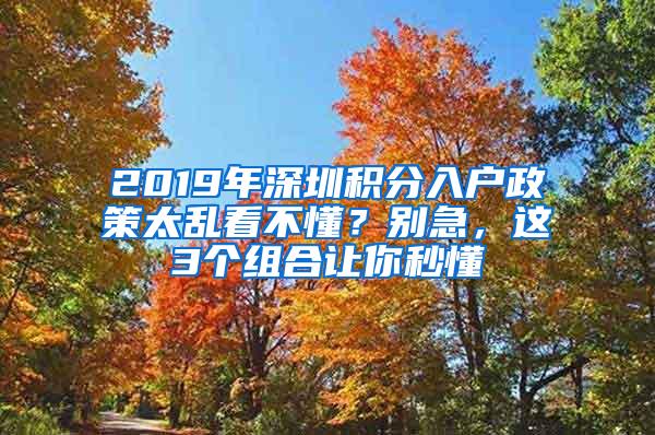 2019年深圳积分入户政策太乱看不懂？别急，这3个组合让你秒懂