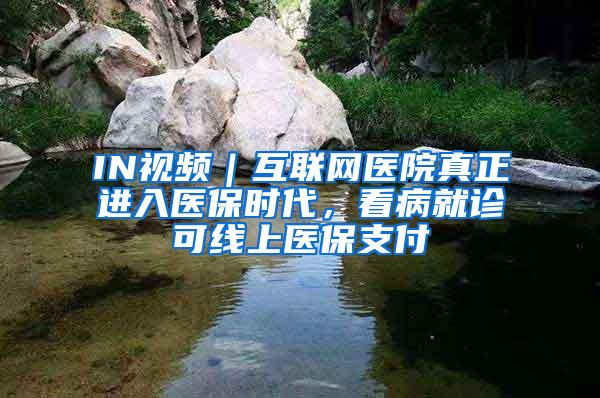 IN视频｜互联网医院真正进入医保时代，看病就诊可线上医保支付