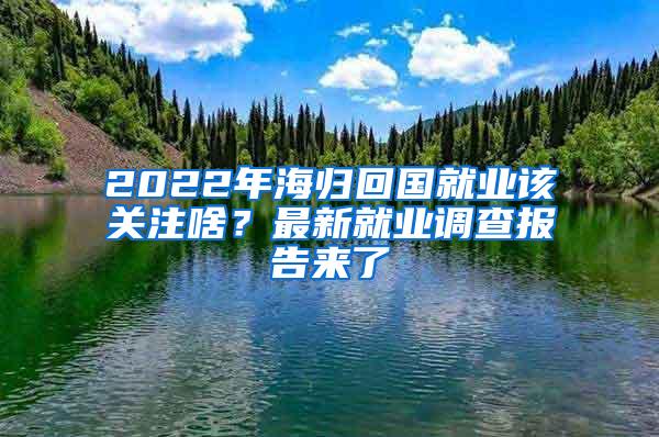 2022年海归回国就业该关注啥？最新就业调查报告来了