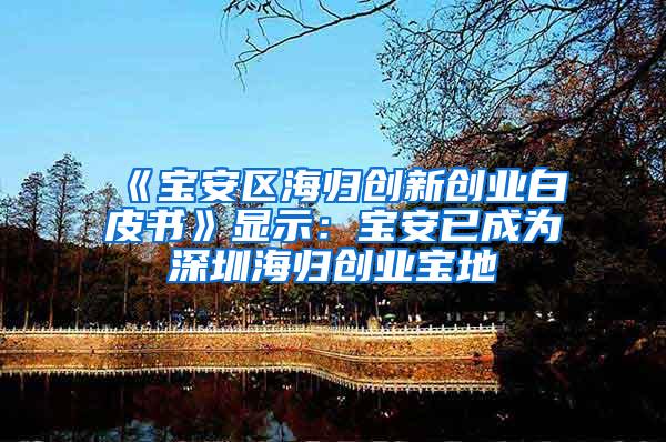 《宝安区海归创新创业白皮书》显示：宝安已成为深圳海归创业宝地