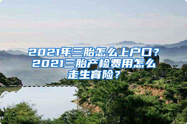2021年三胎怎么上户口？2021三胎产检费用怎么走生育险？