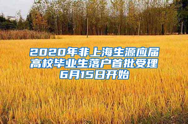2020年非上海生源应届高校毕业生落户首批受理6月15日开始