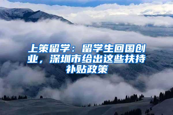 上策留学：留学生回国创业，深圳市给出这些扶持补贴政策