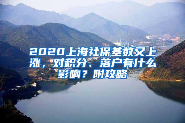 2020上海社保基数又上涨，对积分、落户有什么影响？附攻略