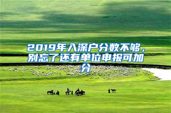 2019年入深户分数不够，别忘了还有单位申报可加分