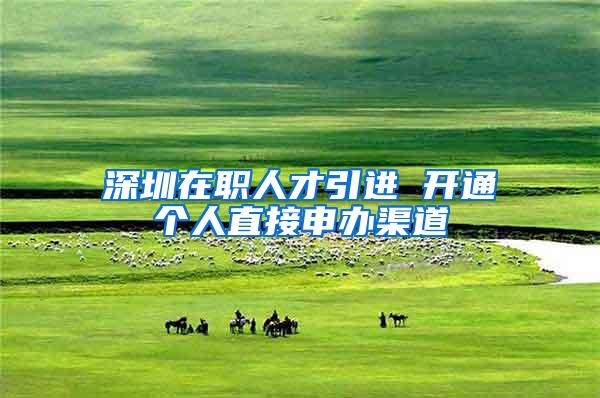 深圳在职人才引进 开通个人直接申办渠道