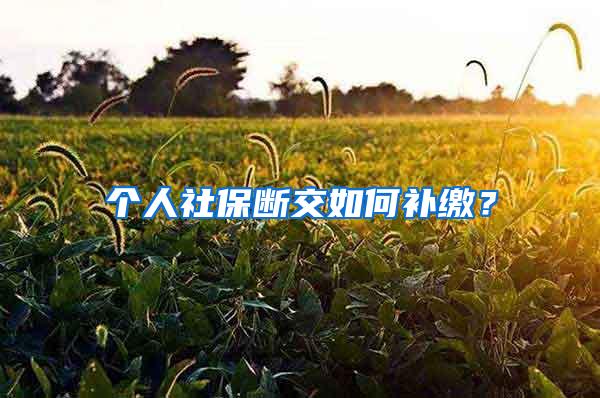 个人社保断交如何补缴？