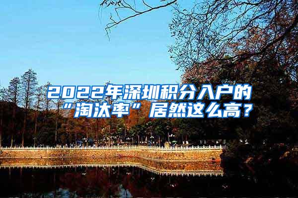 2022年深圳积分入户的“淘汰率”居然这么高？