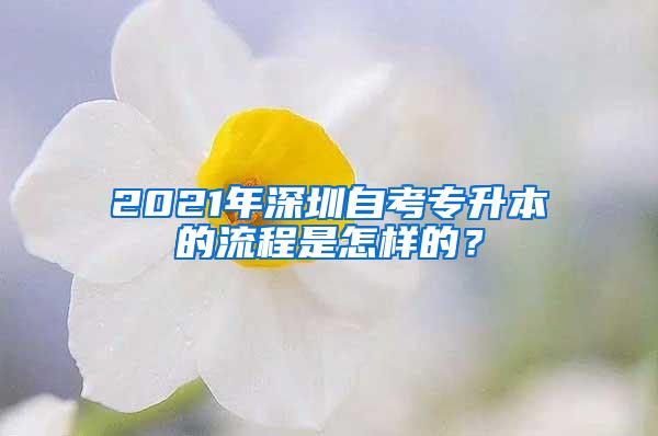2021年深圳自考专升本的流程是怎样的？