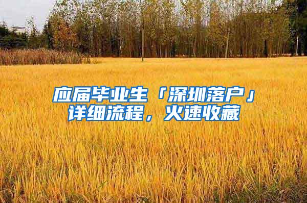 应届毕业生「深圳落户」详细流程，火速收藏