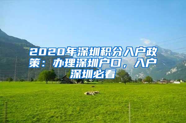 2020年深圳积分入户政策：办理深圳户口，入户深圳必看