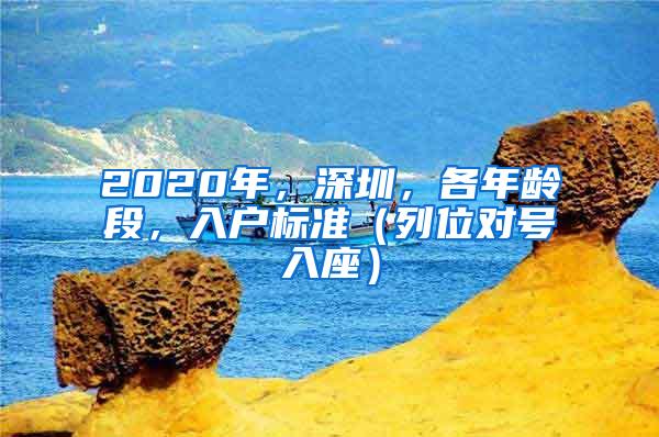 2020年，深圳，各年龄段，入户标准（列位对号入座）