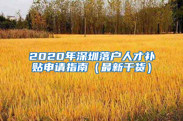2020年深圳落户人才补贴申请指南（最新干货）