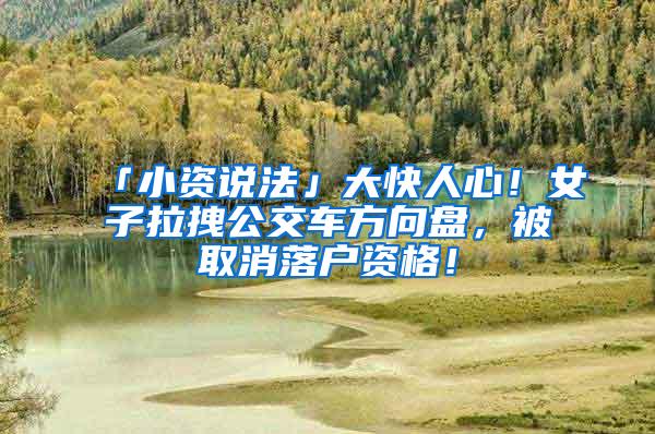 「小资说法」大快人心！女子拉拽公交车方向盘，被取消落户资格！