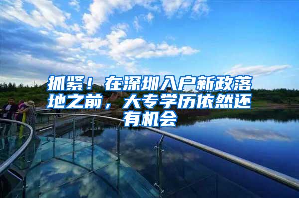 抓紧！在深圳入户新政落地之前，大专学历依然还有机会