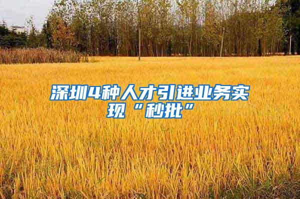 深圳4种人才引进业务实现“秒批”