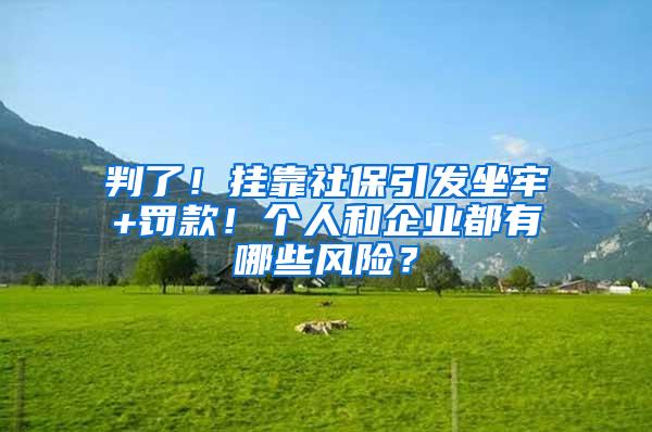 判了！挂靠社保引发坐牢+罚款！个人和企业都有哪些风险？