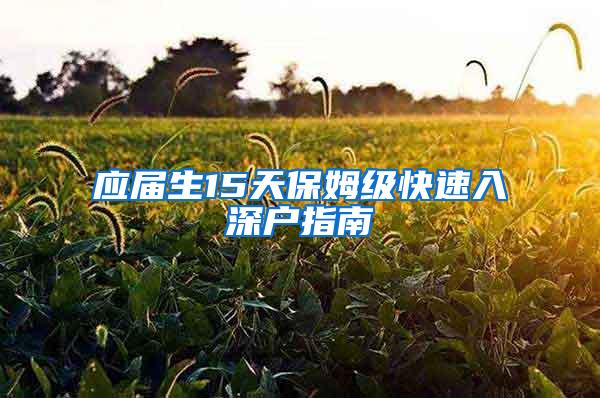 应届生15天保姆级快速入深户指南