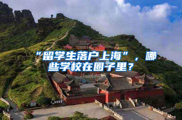 “留学生落户上海”，哪些学校在圈子里？