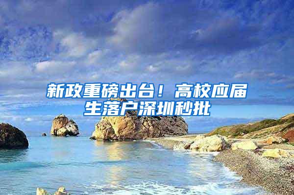 新政重磅出台！高校应届生落户深圳秒批