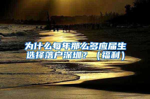 为什么每年那么多应届生选择落户深圳？（福利）