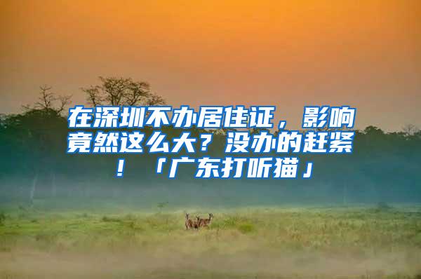 在深圳不办居住证，影响竟然这么大？没办的赶紧！「广东打听猫」