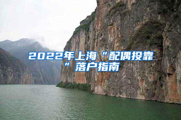 2022年上海“配偶投靠”落户指南