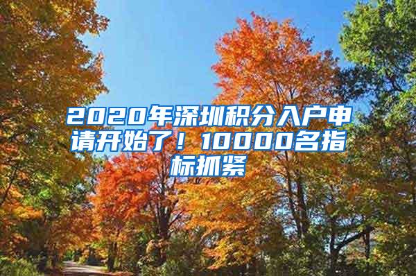 2020年深圳积分入户申请开始了！10000名指标抓紧