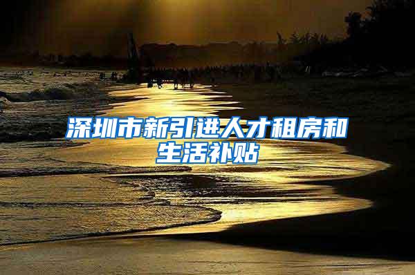 深圳市新引进人才租房和生活补贴