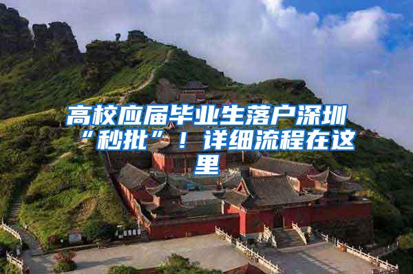 高校应届毕业生落户深圳“秒批”！详细流程在这里