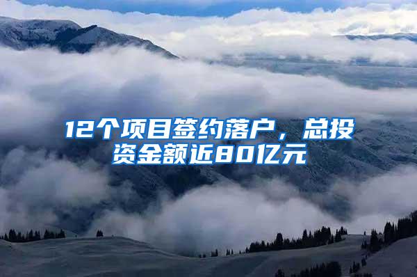 12个项目签约落户，总投资金额近80亿元