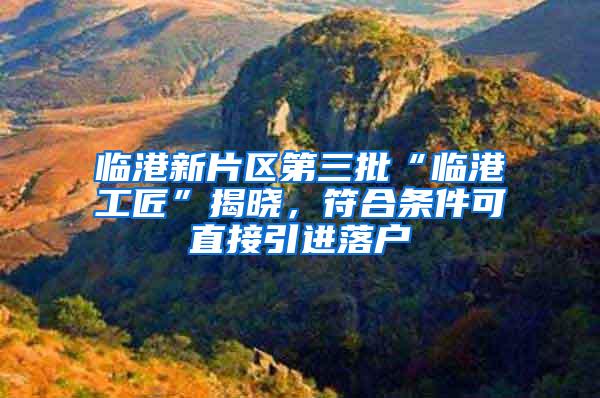 临港新片区第三批“临港工匠”揭晓，符合条件可直接引进落户