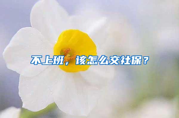 不上班，该怎么交社保？