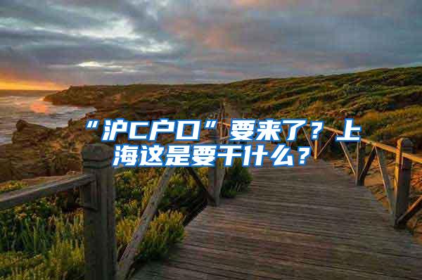 “沪C户口”要来了？上海这是要干什么？