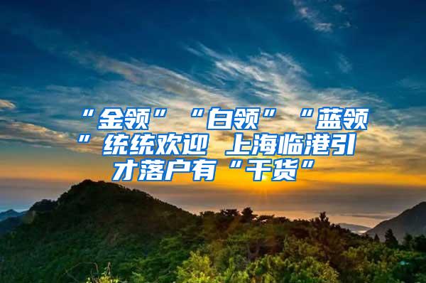 “金领”“白领”“蓝领”统统欢迎 上海临港引才落户有“干货”
