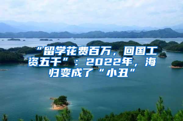 “留学花费百万，回国工资五千”：2022年，海归变成了“小丑”