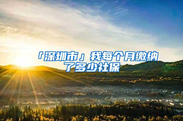 「深圳市」我每个月缴纳了多少社保