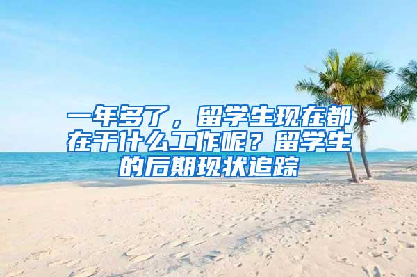 一年多了，留学生现在都在干什么工作呢？留学生的后期现状追踪