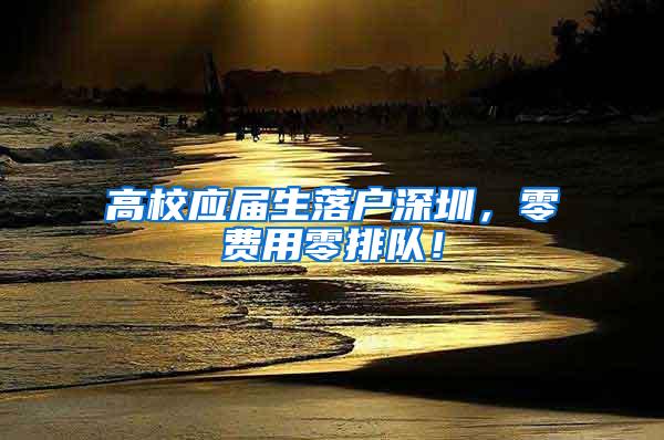 高校应届生落户深圳，零费用零排队！