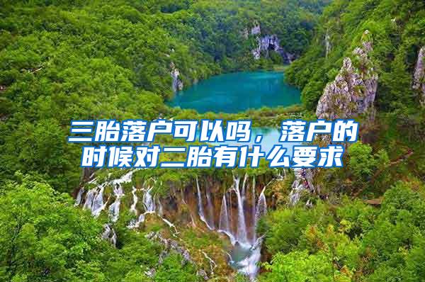 三胎落户可以吗，落户的时候对二胎有什么要求