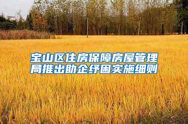 宝山区住房保障房屋管理局推出助企纾困实施细则