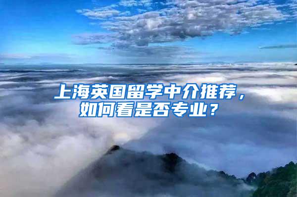 上海英国留学中介推荐，如何看是否专业？