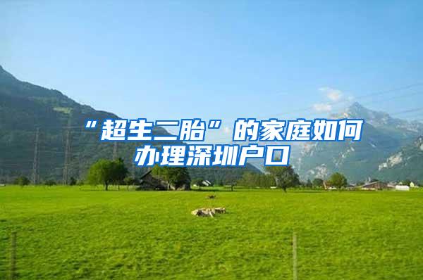 “超生二胎”的家庭如何办理深圳户口