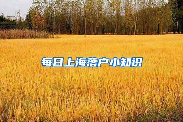 每日上海落户小知识