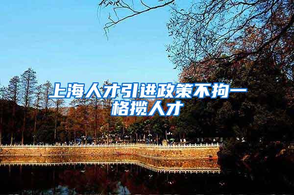 上海人才引进政策不拘一格揽人才