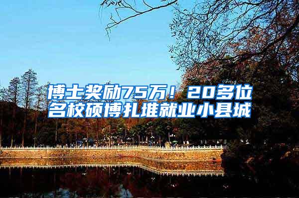博士奖励75万！20多位名校硕博扎堆就业小县城